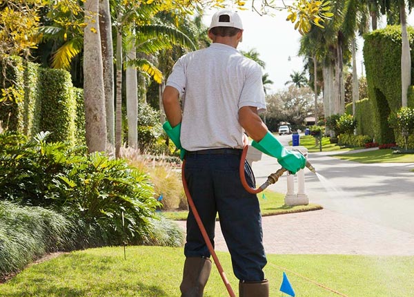 About Partlow VA Pest Control
